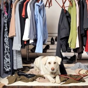 Meet your Posher, Jo